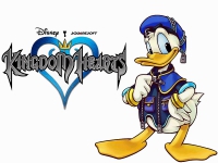 Kingdom Hearts 14